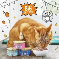 Tiny Tiger, Meaty Tenders Cat Treats, Salmon Recipe & Tiny Tiger Pate Salmon Recipe Grain-Free Canned Cat Food -Furry Feast 347708 PT7. AC SS1800 V1639545684