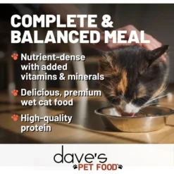 Dave's Pet Food Shredded Chicken & Duck Dinner In Gravy Recipe Wet Cat Food, 2.8-oz Can, Case Of 24 -Furry Feast 352433 PT2. AC SS1800 V1640271697