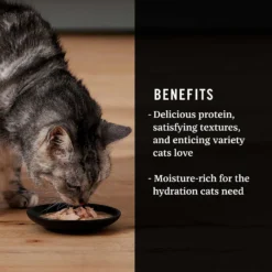 Fancy Feast Classic Seafood Feast Variety Pack Canned Cat Food & American Journey Landmark Broths Seafood Variety Pack Wet Cat Food Complement Pouches -Furry Feast 353371 PT8. AC SS1800 V1639527992