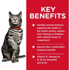 Hill's Science Diet Adult Urinary Hairball Control Savory Chicken Entree Canned Cat Food & Hill's Science Diet Adult Urinary Hairball Control Dry Cat Food -Furry Feast 353409 PT4. AC SS1800 V1639545410
