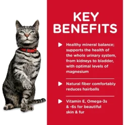 Hill's Science Diet Adult Sensitive Stomach & Sensitive Skin Chicken & Rice Recipe Dry Cat Food & Hill's Science Diet Adult Urinary Hairball Control Savory Chicken Entree Canned Cat Food -Furry Feast 353412 PT8. AC SS1800 V1639543884