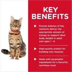 Hill's Science Diet Adult Urinary Hairball Control Dry Cat Food & Hill's Science Diet Adult Healthy Cuisine Roasted Chicken & Rice Medley Canned Cat Food -Furry Feast 353421 PT8. AC SS1800 V1639538485