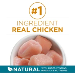 Purina ONE Tender Selects Blend With Real Chicken Dry Cat Food & Fancy Feast Savory Cravings Beef & Crab Flavor Limited Ingredient Soft Cat Treats -Furry Feast 353425 PT4. AC SS1800 V1662758752