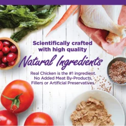 Wellness Complete Health Natural Grain-Free Deboned Chicken & Chicken Meal Dry Kitten Food & Wellness Complete Health Kitten Variety Pack Grain-Free Canned Cat Food, 3-oz, Case Of 12 -Furry Feast 353443 PT6. AC SS1800 V1639543894