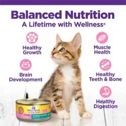 Wellness Complete Health Natural Grain-Free Deboned Chicken & Chicken Meal Dry Kitten Food & Wellness Complete Health Kitten Variety Pack Grain-Free Canned Cat Food, 3-oz, Case Of 12 -Furry Feast 353443 PT7. AC SS1800 V1639532214