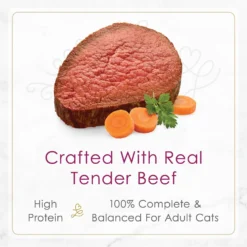 Fancy Feast Gourmet Gravy Petites Tender Beef With Carrots Entree Wet Cat Food -Furry Feast 354294 PT3. AC SS1800 V1647906760