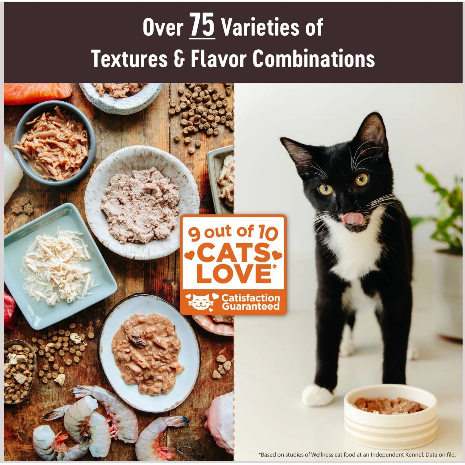 Wellness Tiny Tasters Tuna & Salmon Grain-Free Flaked Wet Cat Food, 1.75-oz Pouch, Case Of 12 2 Wellness Tiny Tasters Tuna & Salmon Grain-Free Flaked Wet Cat Food, 1.75-oz Pouch, Case Of 12 - Image 2