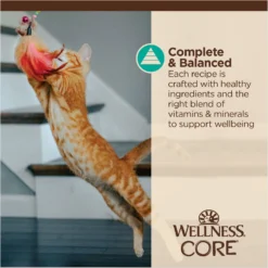 Wellness Tiny Tasters Tuna & Salmon Grain-Free Flaked Wet Cat Food, 1.75-oz Pouch, Case Of 12 15 Wellness Tiny Tasters Tuna & Salmon Grain-Free Flaked Wet Cat Food, 1.75-oz Pouch, Case Of 12 -Furry Feast 363909 PT6. AC SS1800 V1695845856