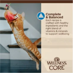 Wellness CORE Tiny Tasters Tuna & Shrimp Grain-Free Flaked Wet Cat Food, 1.75-oz Pouch, Case Of 12 -Furry Feast 363911 PT6. AC SS1800 V1695845856