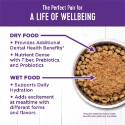 Wellness Complete Health Age Advantage Chicken Pate Wet Cat Food -Furry Feast 363921 PT5. AC SS1800 V1643252522