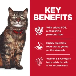 Hill's Science Diet Adult Sensitive Stomach & Skin Salmon & Tuna Wet Cat Food -Furry Feast 364091 PT4. AC SS1800 V1643907092