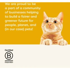 Applaws Chicken Flakes In Gravy Wet Cat Food, 2.12-oz, Case Of 18 -Furry Feast 373467 PT6. AC SS1800 V1649460535