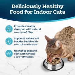 Blue Buffalo Tastefuls Indoor Natural Salmon & Brown Rice Adult Dry Cat Food -Furry Feast 46885 PT3. AC SS1800 V1694183151