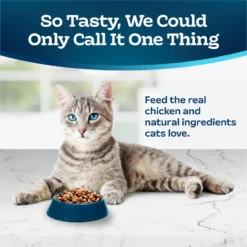 Blue Buffalo Tastefuls Natural Chicken Adult 7+ Dry Cat Food -Furry Feast 46910 PT2. AC SS1800 V1692642876