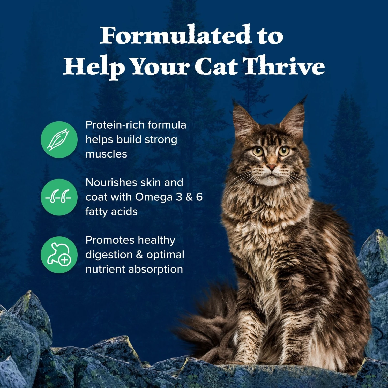 Blue Buffalo Wilderness Duck Recipe Grain-Free Dry Cat Food 3 Blue Buffalo Wilderness Duck Recipe Grain-Free Dry Cat Food - Image 3