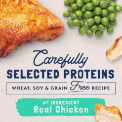 Natural Balance L.I.D. Limited Ingredient Diets Green Pea & Chicken Formula Grain-Free Dry Cat Food -Furry Feast 48051 PT3. AC SS1800 V1668457300