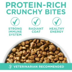 Purina ONE +Plus Sensitive Skin & Stomach Natural Adult Dry Cat Food -Furry Feast 48649 PT2. AC SS1800 V1677531456