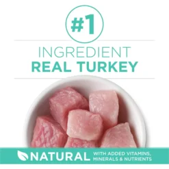 Purina ONE +Plus Sensitive Skin & Stomach Natural Adult Dry Cat Food -Furry Feast 48649 PT3. AC SS1800 V1677531396