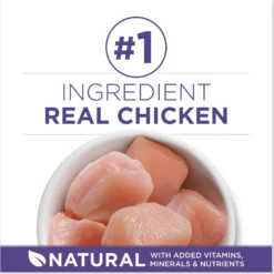 Purina ONE +Plus Hairball Formula Natural Adult Dry Cat Food -Furry Feast 48650 PT3. AC SS1800 V1677531456