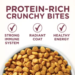 Purina ONE +Plus Urinary Tract Health Formula High Protein Adult Dry Cat Food -Furry Feast 48651 PT2. AC SS1800 V1657657678