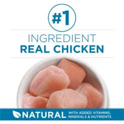 Purina ONE Indoor Advantage Senior 7+ High Protein Natural Dry Cat Food -Furry Feast 48658 PT2. AC SS1800 V1674845105