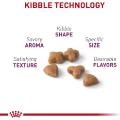 Royal Canin Feline Health Nutrition Sensitive Digestion Adult Dry Cat Food -Furry Feast 48671 PT3. AC SS1800 V1697734507