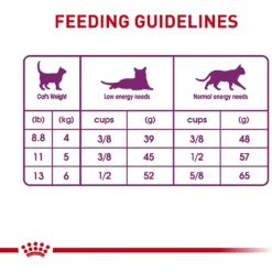 Royal Canin Feline Health Nutrition Sensitive Digestion Adult Dry Cat Food -Furry Feast 48671 PT8. AC SS1800 V1697733862