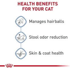 Royal Canin Feline Health Nutrition Indoor Long Hair Adult Dry Cat Food -Furry Feast 48726 PT3. AC SS1800 V1697762324