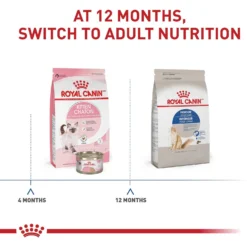 Royal Canin Feline Health Nutrition Indoor Long Hair Adult Dry Cat Food -Furry Feast 48726 PT4. AC SS1800 V1697758590