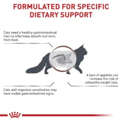 Royal Canin Veterinary Diet Adult Gastrointestinal Dry Cat Food -Furry Feast 48752 PT4. AC SS1800 V1691702758