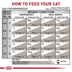 Royal Canin Veterinary Diet Adult Gastrointestinal Dry Cat Food -Furry Feast 48752 PT8. AC SS1800 V1691702812