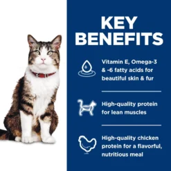Hill's Science Diet Adult Hairball Control Chicken Recipe Dry Cat Food -Furry Feast 48859 PT5. AC SS1800 V1598152266