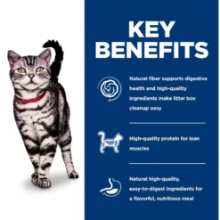 Hill's Science Diet Adult Indoor Chicken Recipe Dry Cat Food -Furry Feast 48899 PT5. AC SS1800 V1598148097