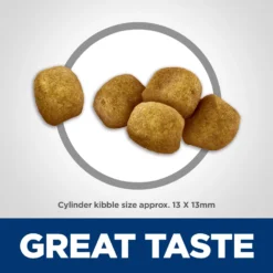 Hill's Science Diet Adult Oral Care Dry Cat Food -Furry Feast 48939 PT2. AC SS1800 V1609456339