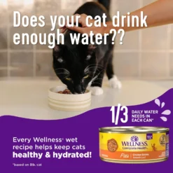 Wellness Complete Health Adult Beef & Chicken Formula Grain-Free Canned Cat Food -Furry Feast 49257 PT3. AC SS1800 V1594838177