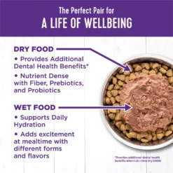 Wellness Complete Health Adult Beef & Chicken Formula Grain-Free Canned Cat Food -Furry Feast 49257 PT5. AC SS1800 V1594910156
