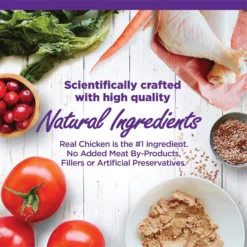 Wellness Complete Health Kitten Chicken Entree Recipe Natural Canned Cat Food -Furry Feast 49274 PT2. AC SS1800 V1690899634