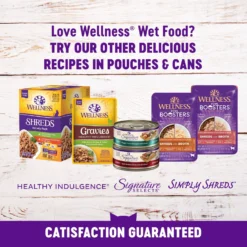 Wellness Complete Health Kitten Chicken Entree Recipe Natural Canned Cat Food -Furry Feast 49274 PT7. AC SS1800 V1690904768