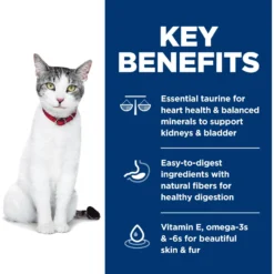 Hill's Science Diet Adult 11+ Chicken Recipe Dry Cat Food -Furry Feast 49534 PT3. AC SS1800 V1598148073