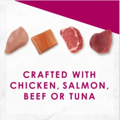 Applaws Adult Complete Chicken Recipe With Country Vegetables Grain-Free Dry Cat Food & Fancy Feast Savory Centers Variety Pack Canned Cat Food -Furry Feast 502974 PT7. AC SS1800 V1648476085