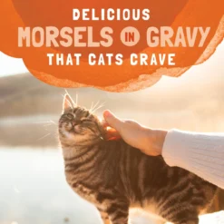 Natural Balance Platefulls Turkey, Chicken & Duck Formula In Gravy Grain-Free Cat Food Pouches -Furry Feast 50931 PT7. AC SS1800 V1682690664