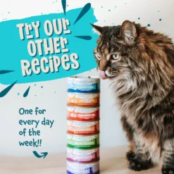 Earthborn Holistic Monterey Medley Grain-Free Natural Canned Cat & Kitten Food -Furry Feast 51277 PT7. AC SS1800 V1684524203