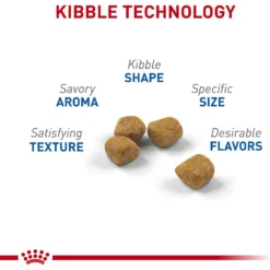 Royal Canin Feline Health Nutrition Indoor 7+ Adult Dry Cat Food -Furry Feast 52425 PT3. AC SS1800 V1697762330