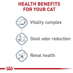 Royal Canin Feline Health Nutrition Indoor 7+ Adult Dry Cat Food -Furry Feast 52425 PT4. AC SS1800 V1697761878