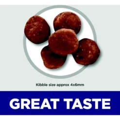 Hill's Science Diet Indoor Kitten Dry Cat Food -Furry Feast 52723 PT2. AC SS1800 V1690571445