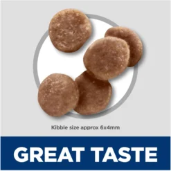 Hill's Science Diet Kitten Healthy Development Chicken Recipe Dry Cat Food 11 Hill's Science Diet Kitten Healthy Development Chicken Recipe Dry Cat Food -Furry Feast 52751 PT2. AC SS1800 V1690571431