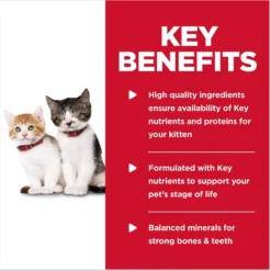 Hill's Science Diet Kitten Tender Chicken Dinner Canned Cat Food -Furry Feast 52774 PT3. AC SS1800 V1598155557