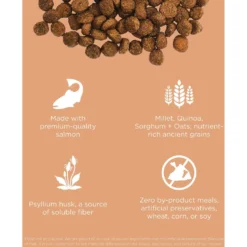 Go! Solutions Digestive + Gut Health Salmon Recipe With Ancient Grains For Cats -Furry Feast 539574 PT2. AC SS1800 V1662061727