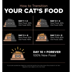 Go! Solutions Digestive + Gut Health Salmon Recipe With Ancient Grains For Cats -Furry Feast 539574 PT6. AC SS1800 V1662062182