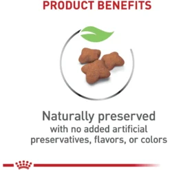 Royal Canin Feline Health Nutrition Kitten Spayed/Neutered Dry Cat Food -Furry Feast 54330 PT3. AC SS1800 V1697732909